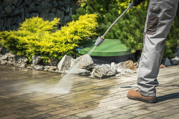 Best Animal Enclosure Cleaning  in Chester, PA