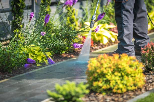 Best Boat and Dock Cleaning  in Chester, PA